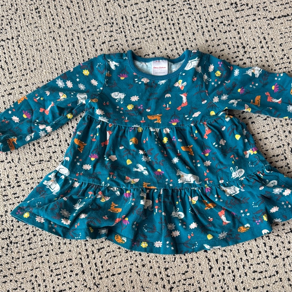 Hanna Andersson dress